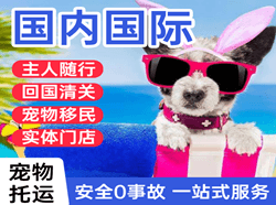 喀什空运地址国际宠物托运 【国
